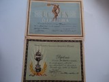 Lot 2 diplome sportive 1960