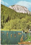 CPI (B1629) MUNTELE SUHARDU SI LACUL ROSU , CIRCULATA 26.8.69, STAMPILE, TIMBRU IMPRIMAT