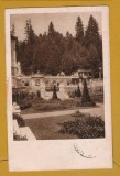 SINAIA GRADINA PELESULUI 1926, Circulata, Fotografie