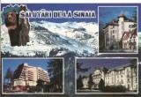 CPI (B1675) SINAIA, MOZAIC, HOTELURILE INTERNATIONAL, PALTINIS, PALAS, EDITURA AROL TRADE S.R.L., ORADEA, NECIRCULATA