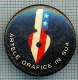 742 INSIGNA - ARTELE GRAFICE IN USA -starea care se vede