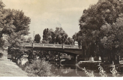 Carte postala CP TM011 Timisoara - Pod peste Bega - circulata 1965 [I] foto