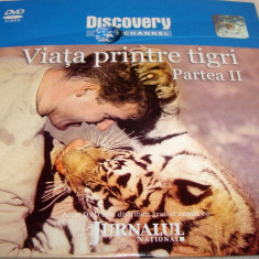Viata printre Tigri (partea II) - DVD - Documentar Discovery Channel