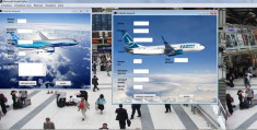 Atestat Microsoft Visual Fox -Evidenta aeroporturi + Documnetatie foto