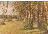 CPI (B1711) LA MARGINEA PADURII, VEDERE DIN UNIUNEA SOVIETICA, URSS, SCRISA SI NECIRCULATA; PADURE, COPAC, PASUNE, VEGETATIE, ECOLOGIE.