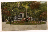 Carte postala(ilustrata)- PUCIOASA-Aleea parcului cu muzica militara