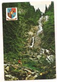 carte postala(ilustrata)- BORSA-Casada izvorul cailor