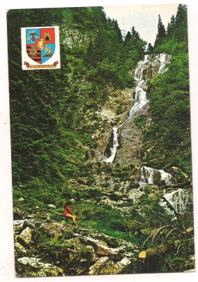 carte postala(ilustrata)- BORSA-Casada izvorul cailor foto