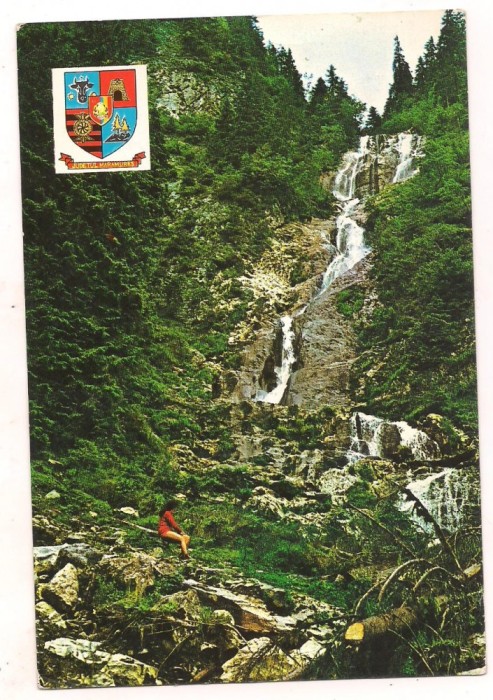 carte postala(ilustrata)- BORSA-Casada izvorul cailor
