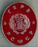 723 INSIGNA - GERB (steag rosu?) -RSFSR -URSS -secera si ciocanul -scriere chirilica-starea care se vede