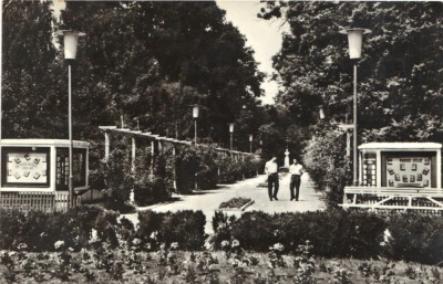 Carte postala CP TM016 Buzias - Vedere din parc - circulata RPR foto