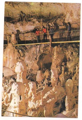 carte postala(ilustrata)- BIHOR-Pestera Ursilor foto