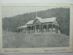 BAILE VULCANA - VEDEREA PAVILIONULUI DIN PADURE - INCEPUT DE 1900 foto
