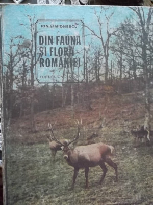 DIN FAUNA SI FLORA ROMANIEI foto