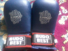 manusi budo best foto