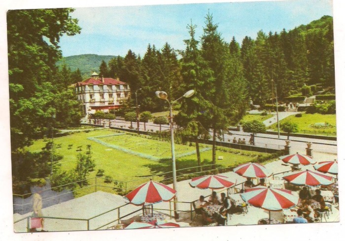carte postala(ilustrata)-SOVATA-Terasa Bucuresti