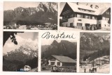 carte postala(ilustrata)-BUSTENI-colaj