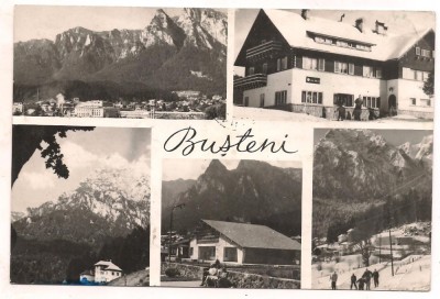carte postala(ilustrata)-BUSTENI-colaj foto