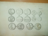 Gravura circa 1820 monede Romania Transilvania