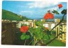 Carte postala(ilustrata)-Petrila, Circulata, Printata