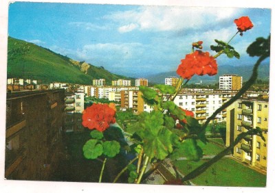 carte postala(ilustrata)-Petrila foto