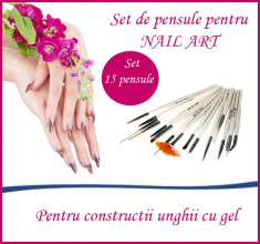 Set pensule unghii 15 pensule pentru unghii nail art pictura unghii gel uv acril pentru constructii unghii cu gel foto