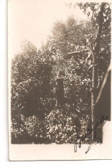 FOTO 15 FOTOGRAFIE BARBAT SUB BOLTA DE VITA DE VIE, IMBRACAMINTE DE EPOCA, DATATA 1931, DIMENSIUNI PRODUS : 8X13 cm, TANAR foto