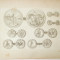 Gravura circa 1820 monede Ungaria Imparatul Rudolf II 1576 - 1612