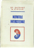 St.Suteanu, A.Ciocan - NEFRITELE INTERSTITIALE