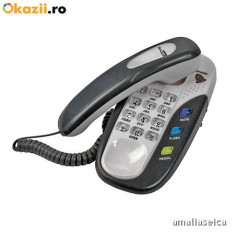 TELEFON MAXCOM TEL-KXT-604B ARGINTIU foto