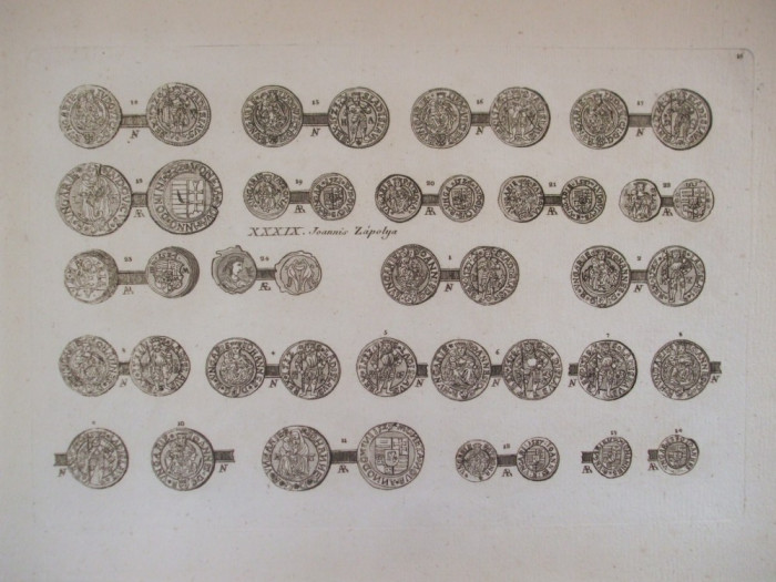 Gravura circa 1820 monede Romania Transilvania Joannis Zapolya Print al Transilvaniei si rege al Ungariei 1511 - 1540