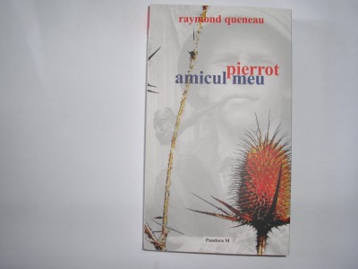 Raymond Queneau - Pierrot, amicul meu R21 foto