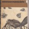 (E1136) - GOFFREDO PARISE - BAIATUL MORT / COMETELE ABECEDAR PARTEA INTAI