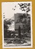 CLUJ GRADINA BOTANICA 1942 (B), Necirculata, Fotografie