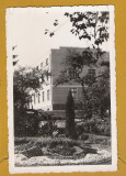 CLUJ GRADINA BOTANICA 1942 (B)