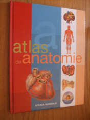 ATLAS DE ANATOMIE -- [ 2006, 96 p. ] foto