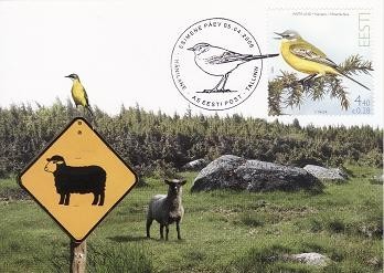6058 - Estonia carte maxima 2006