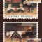 6118 - Finlanda carte maxima 1981