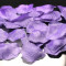 Petale trandafiri artificiale, lila - 500 buc / set