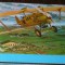 ROMANIA - AVIATIE. AVION SPAD 33/46. ILUSTRATA COLOR MNH (V9)