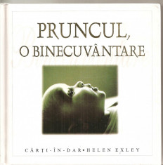 (C3970) PRUNCUL, O BINECUVANTARE, CARTI IN DAR, HELEN HEXLEY foto