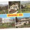 carte postala(ilustrata)-SINGEORZ BAI-colaj
