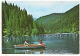 carte postala(ilustrata)--LACUL ROSU-vedere