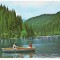 carte postala(ilustrata)--LACUL ROSU-vedere