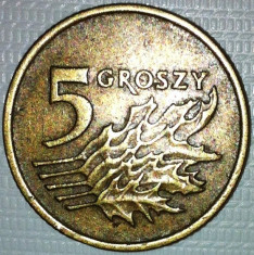 5 groszy 1991, Polonia, stare XF foto