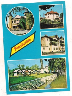 carte postala(marca fixa)-PUCIOASA-colaj foto