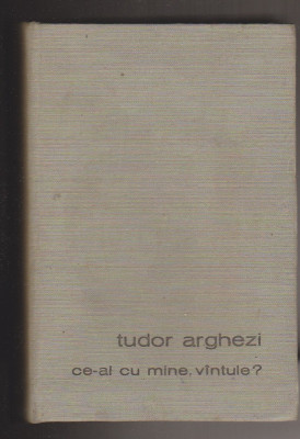 (E1251) - TUDOR ARGHEZI - CE-AI CU MINE, VANTULE? / PE O PALMA DE TARANA foto