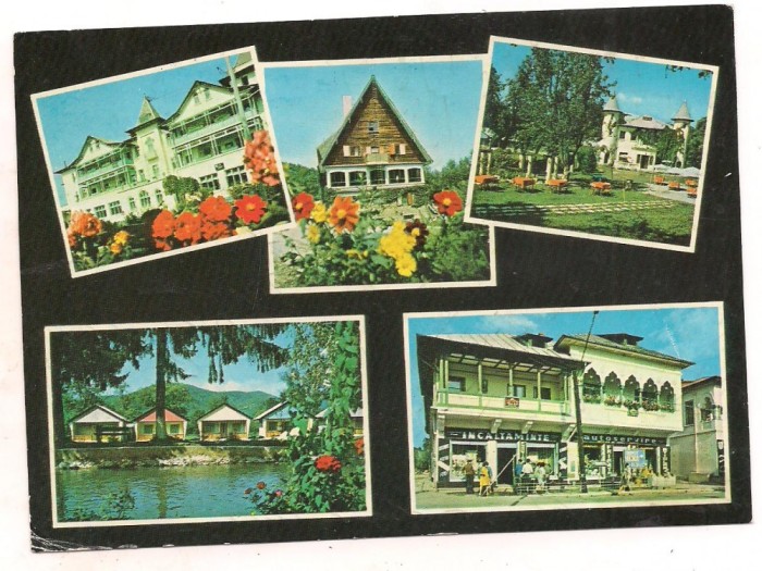 carte postala(marca fixa)-PUCIOASA-colaj