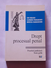 DREPT PROCESUAL PENAL- PRACTICA JUDICIARA- TESTE GRILA- ION NEAGU, CARMEN PARASCHIV, MIRCEA DAMASCHIN foto