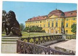 Carte postala(ilustrata)-ORADEA -Museul Tarii Crisurilor, Circulata, Printata